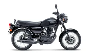 Kawasaki W175