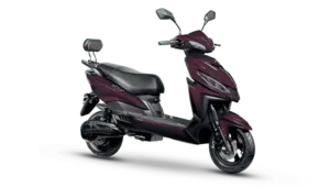 Joy e-bike Wolf Eco