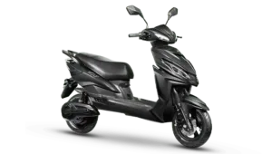 Joy e-bike Wolf Plus